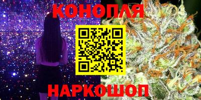 apvp Лесосибирск