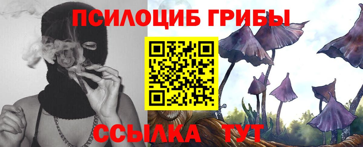 цена наркотик  Вход с VPN  Ковров  Псилоцибиновые грибы Psilocybe 